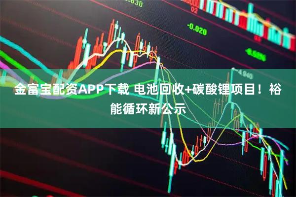 金富宝配资APP下载 电池回收+碳酸锂项目！裕能循环新公示