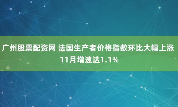 广州股票配资网 法国生产者价格指数环比大幅上涨 11月增速达1.1%