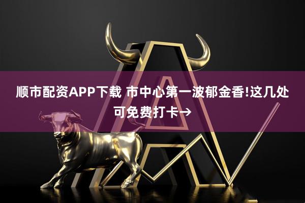 顺市配资APP下载 市中心第一波郁金香!这几处可免费打卡→